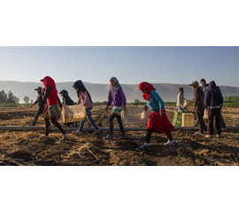 The Intersection of Labour and Refugee Policies in the...